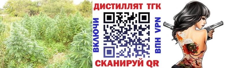 Дистиллят ТГК гашишное масло  Гдов 