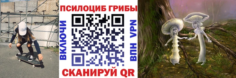 Псилоцибиновые грибы ЛСД  купить закладку  blacksprut сайт  Гдов 